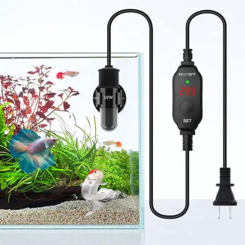 Aquarium Heater 1