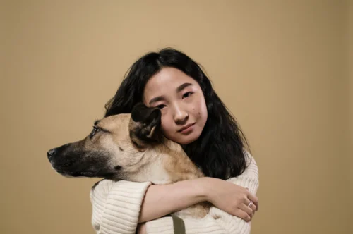 pet reiki
