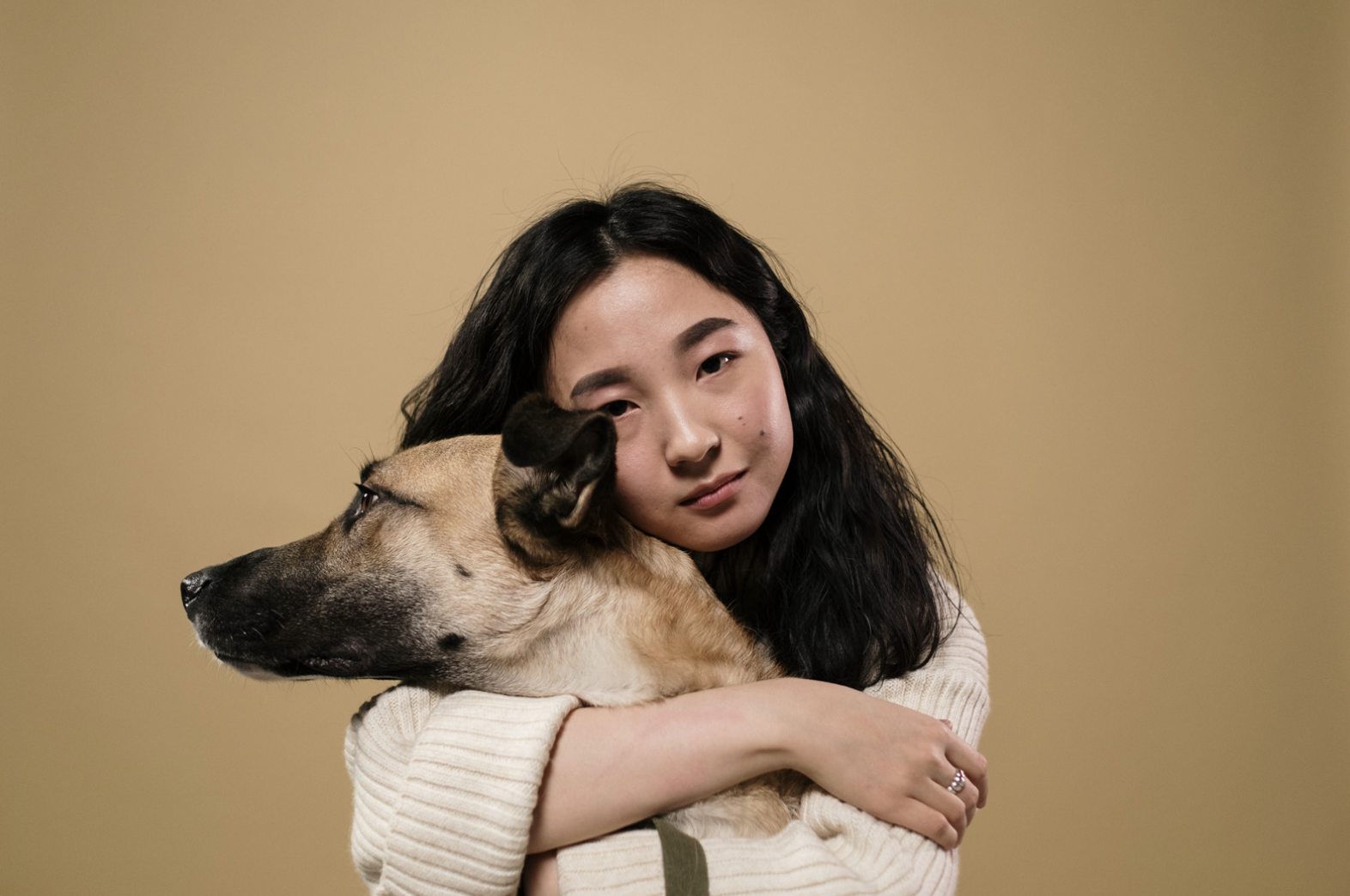 pet reiki